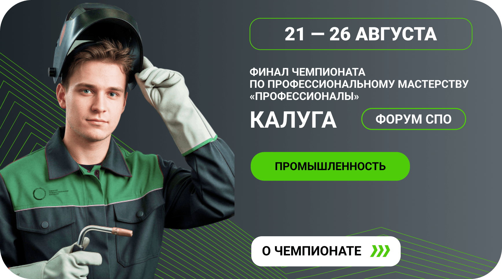 ФИНАЛ ЧЕМПИОНАТА  ПО ПРОФЕССИОНАЛЬНОМУ МАСТЕРСТВУ «ПРОФЕССИОНАЛЫ»