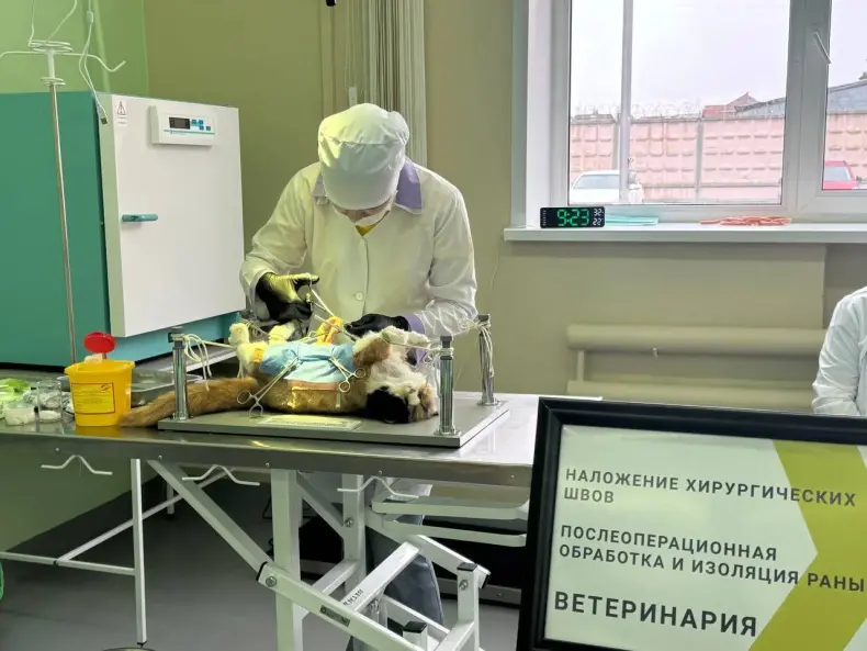 С Днем ветеринарного работника России!