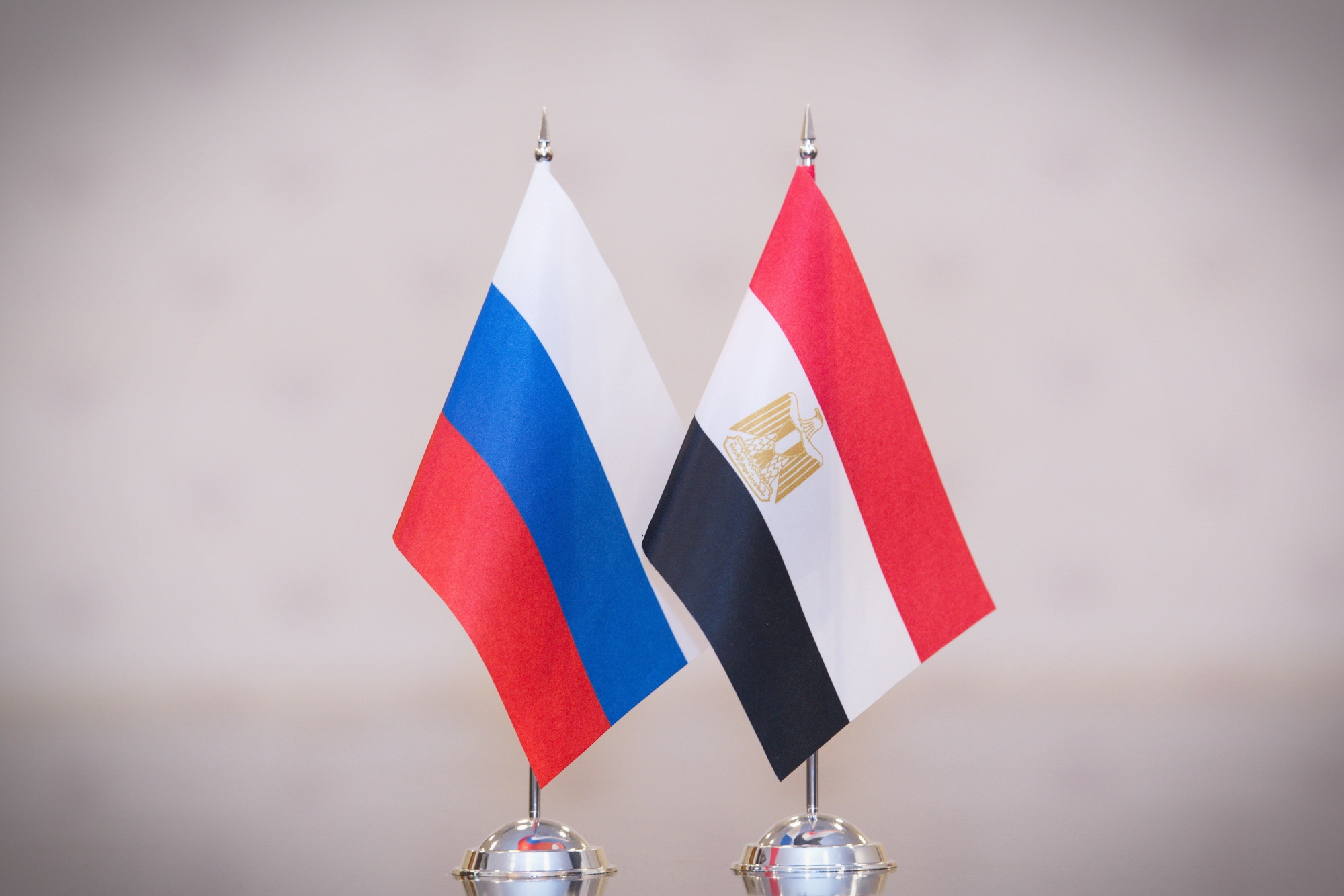 Проекты России в сфере СПО высоко оценили в Египте