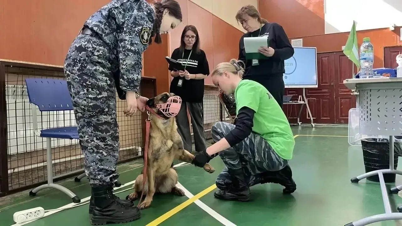 В профессию – через любовь к питомцам