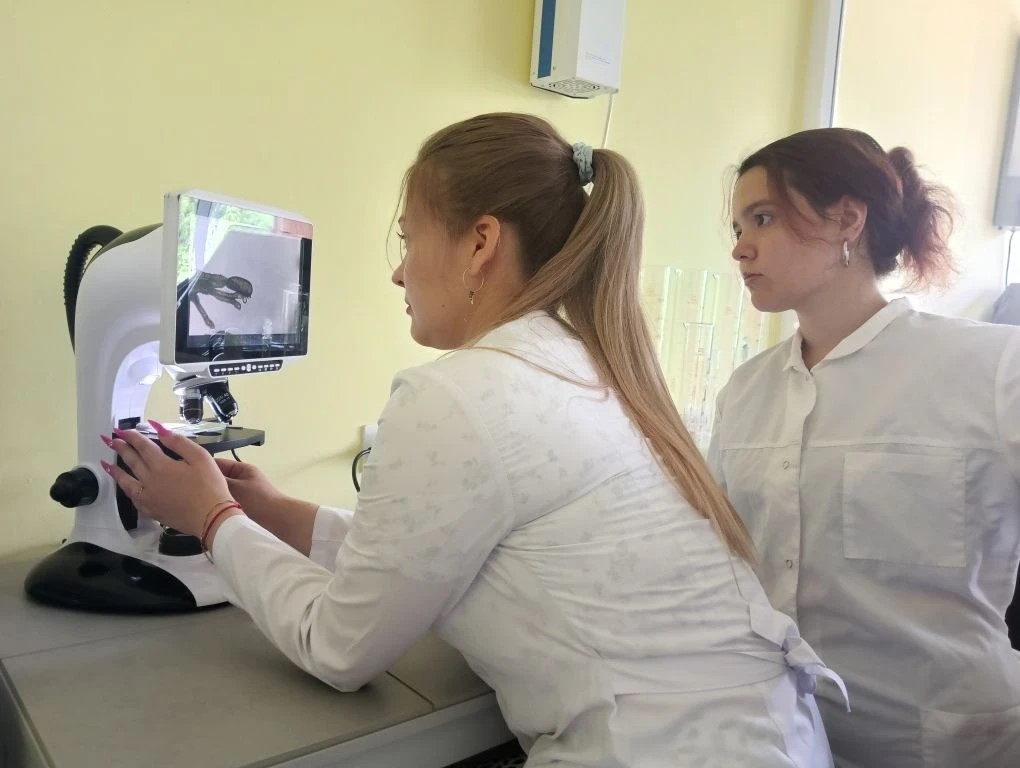 Стажировка – важный шаг в профессию