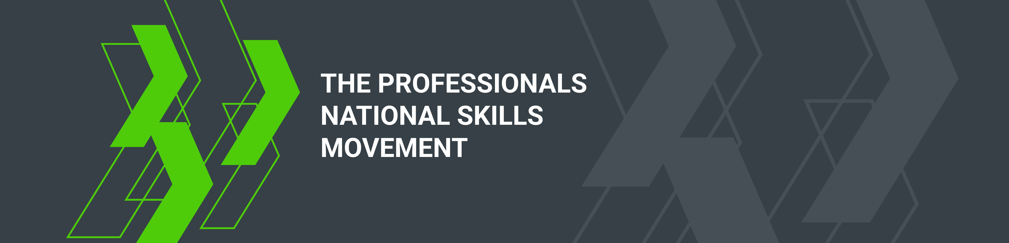 The Professionals National Skills Movement