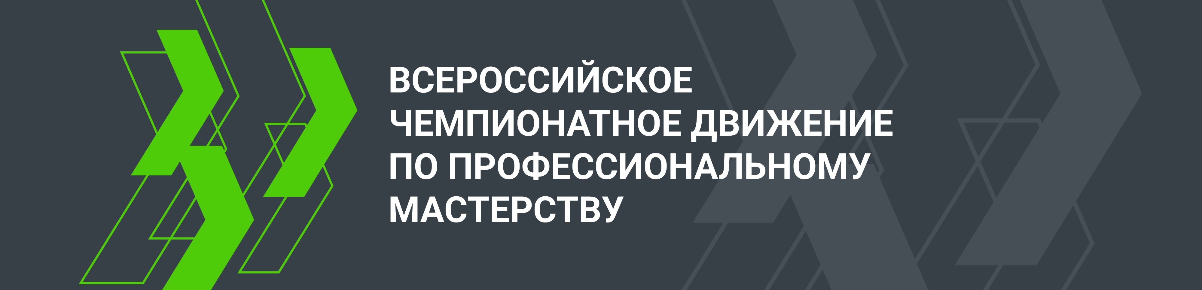 Всероссийское чемпионатное движение по профессиональному мастерству