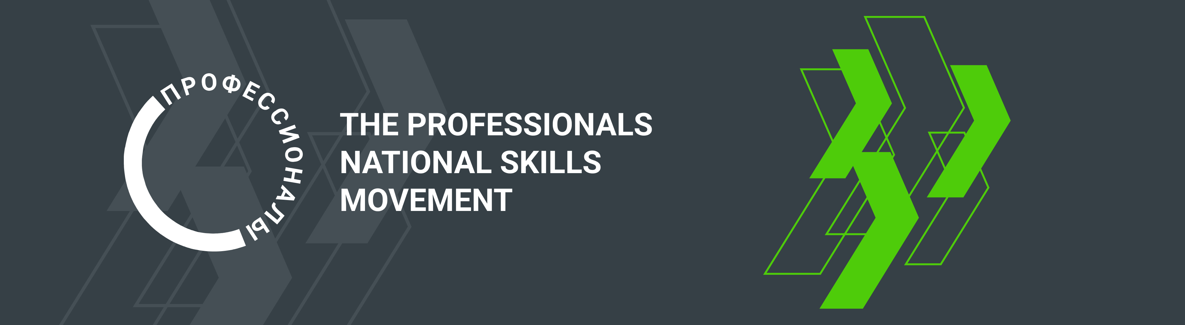 The Professionals National Skills Movement